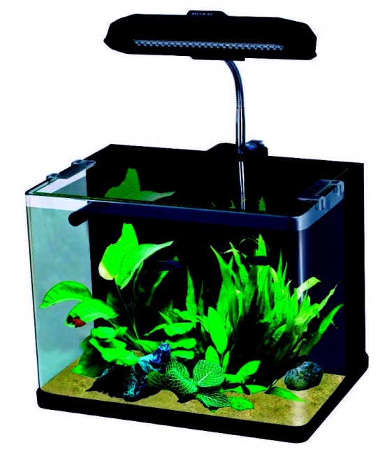 на фото Настольный нано аквариум  Boyu ME-350