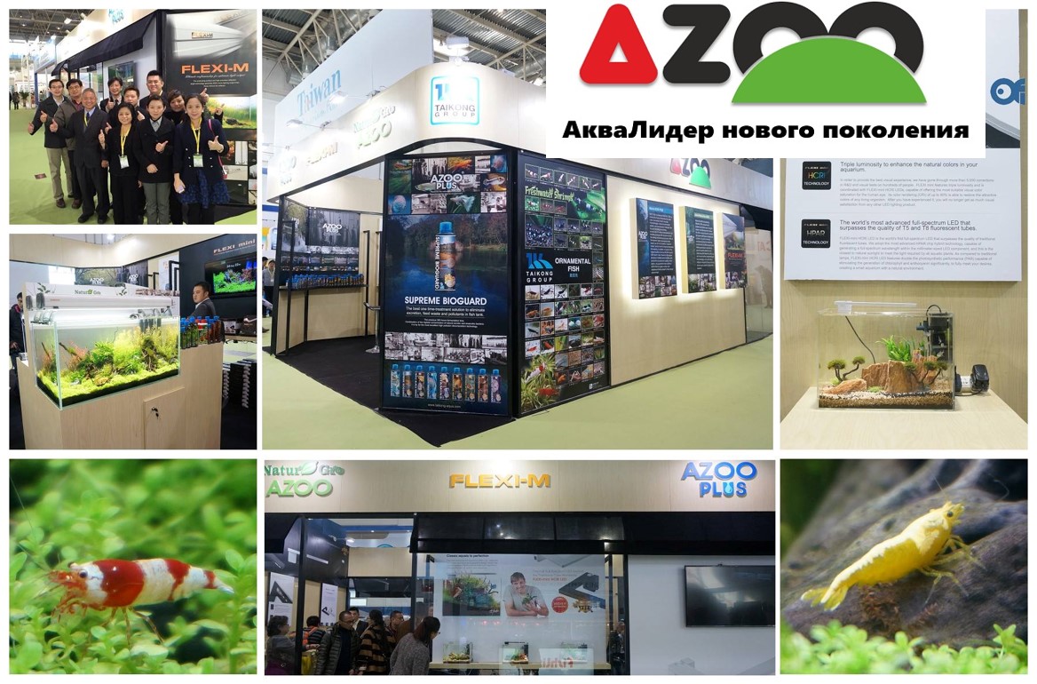 родукция компании AZOO