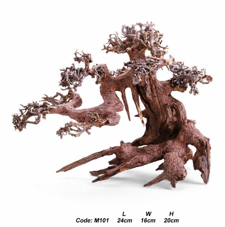 натуральный бонсай