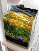 Светодиодные светильники для аквариумных растений, купить светильник для роста аквариумных растений
