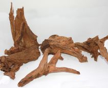 Коряга мангровая, размер L (KM-L-R)