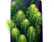 Кабомба зеленая 30см в картонной коробке (YS-60511-1)