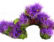 Грот с кораллами (20*8*10см) (YM-1237A)