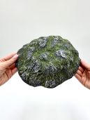 Плавающий остров для черепах 23.5х20х5 (WG03)