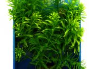 Искусственное растение 20см 