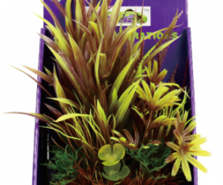 Искусственное растение 20см в картонной коробке (YS-60202)