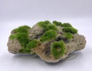 Аквадизайн 