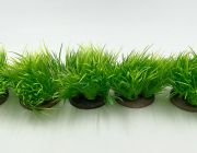 Искусственное растение 5шт/уп (YS-73608)