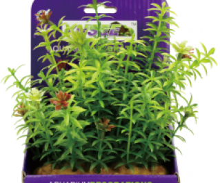 Искусственное растение 15см в картонной коробке (YS-60101)