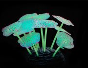 Светящийся декор 