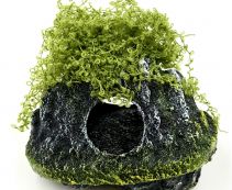 Аквадизайн 