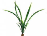 Искусственное растение 6*6*20см (6шт/уп) (YS-40509)