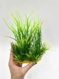 Искусственное растение 15см в картонной коробке (YS-40106)