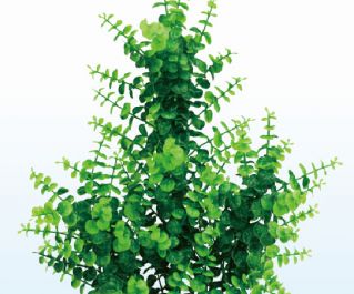 Искусственное растение 40см (YM-6823)