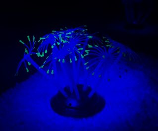 Светящийся декор 