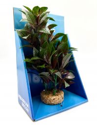 Искусственное растение 20см 