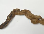 Коряга 