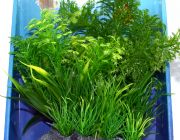 Композиция 