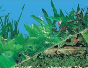 BOYU Фон для аквариума двухсторонний 40см*15м (J03/J13-40)