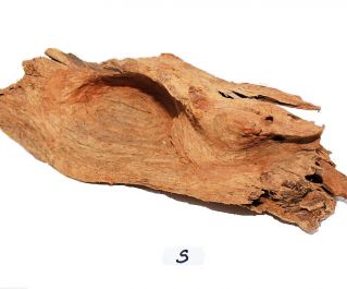 Коряга мангровая, размер S (18-26см) (мешок/примерно35шт) (KM-S)