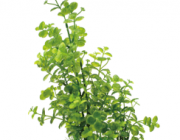 V Искусственное растение 30см (YS-50207)