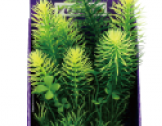 Кабомба зеленая 25см в картонной коробке (YS-60512-1)