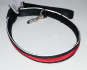 Светящийся поводок (красный) 2.5см*120см (нейлон+LED) (JPF-893-red)
