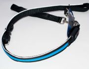 Светящийся поводок с USB-зарядкой (голубой) 2.5см*120см (нейлон+LED) (JPF-893USB-blue)