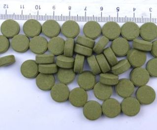 Tablet fish food (spirulina add) Корм в таблетках с добавлением спирулины, ведро 15кг (TFFS-15)