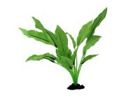 V Шелковое растение 