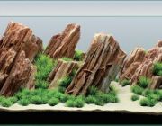 Аквадизайн 