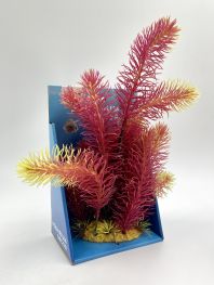 Кабомба красно-салатовая 25см в картонной коробке (YS-60515)