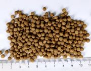 KOI Staple. Основной корм для карпов кои 4мм мешок 20кг  (KF Staple-20)