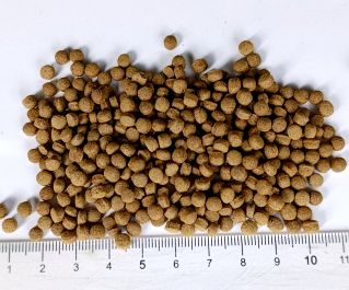 KOI Staple. Основной корм для карпов кои 4мм мешок 20кг (KF Staple-20)