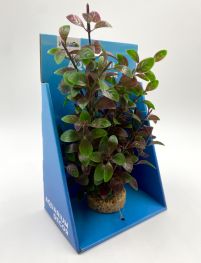 Искусственное растение 20см 