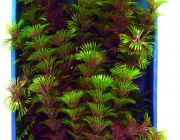 Искусственное растение 35см 