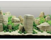 Аквадизайн (YS-201682)