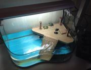 V Акватеррариум (51*33*28см) со светильником (51см.24Вт) черный (ATA52B/Z-Black)