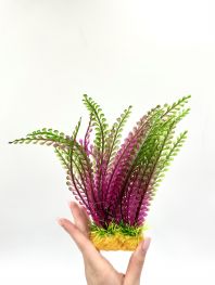 Композиция 