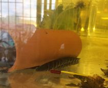 Тигровый нож KNIFE FISH TIGER