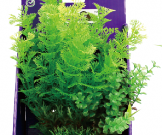 Искусственное растение 20см в картонной коробке (YS-60207)