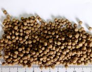 KOI Wheat Germ. Гранулы с ростками пшеницы для поддержания хорошей формы, (4мм) мешок 20кг (KF Wheat-20)