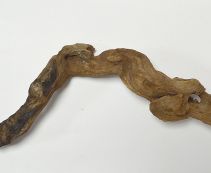 Коряга 