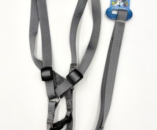 Шлейка с поводком 20мм*122см+46см/66см (нейлон) (1992)