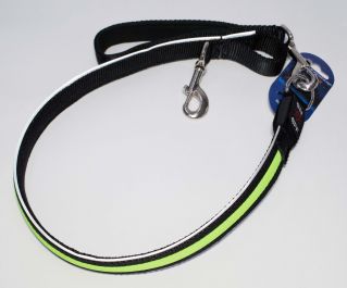 Светящийся поводок (зеленый) 2.5см*120см (нейлон + LED) (JPF-893-green)