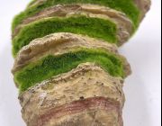 Аквадизайн 