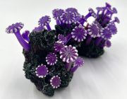 Грот с кораллами (21*9*10см.) (YM-1236A)