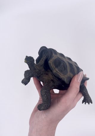 Декорация для аквариума 