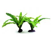 V-Шелковое растение 