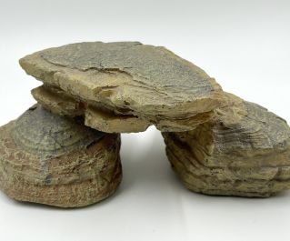 Грот для аквариума 